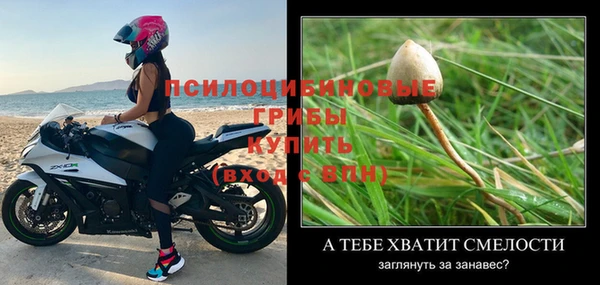 первитин Заводоуковск
