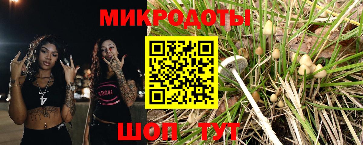 Галлюциногенные грибы Cubensis Печора