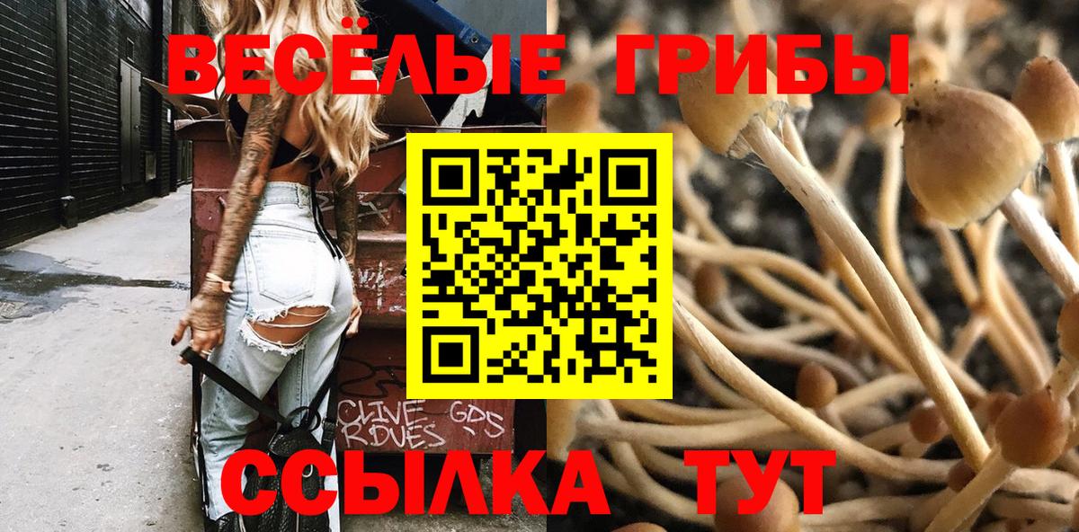 Печора  что такое   Псилоцибиновые грибы Magic Shrooms  Вход с VPN  Галлюциногенные грибы мухоморы 